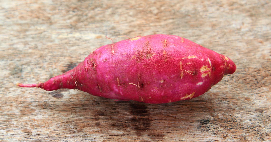 Cachorro pode comer batata-doce?