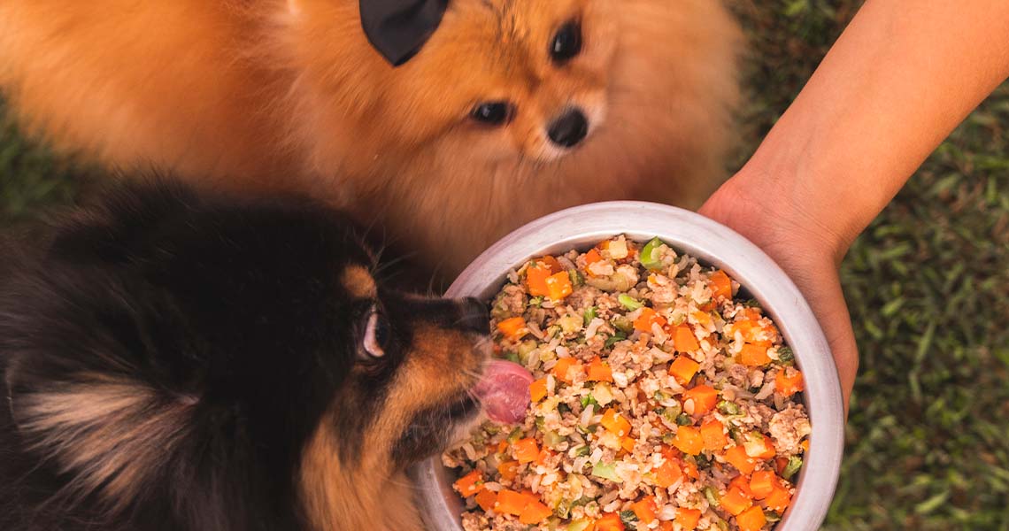 alimentação natural para caes rangaut