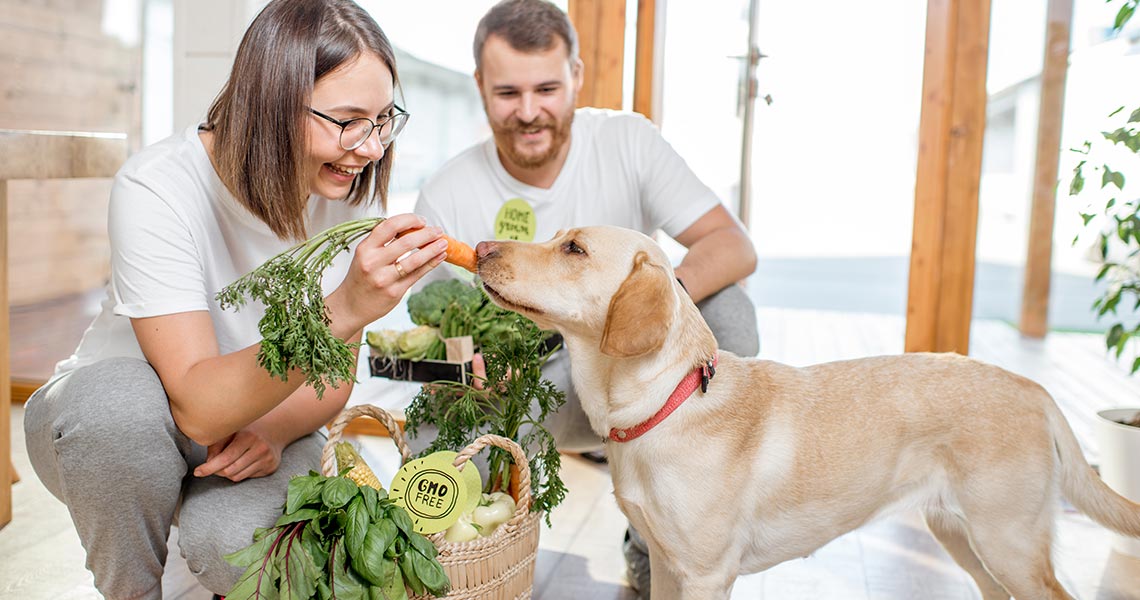 legumes que o meu cachorro pode comer
