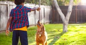 ate qual idade cachorro cresce