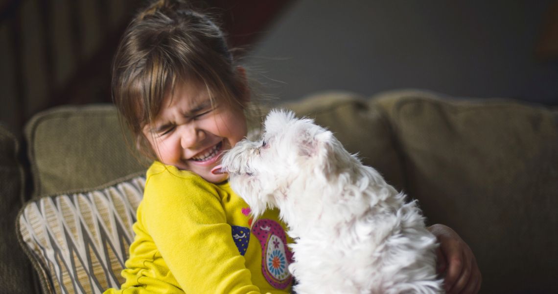 porque cachorros lambem os donos