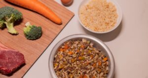 comida natural para cães